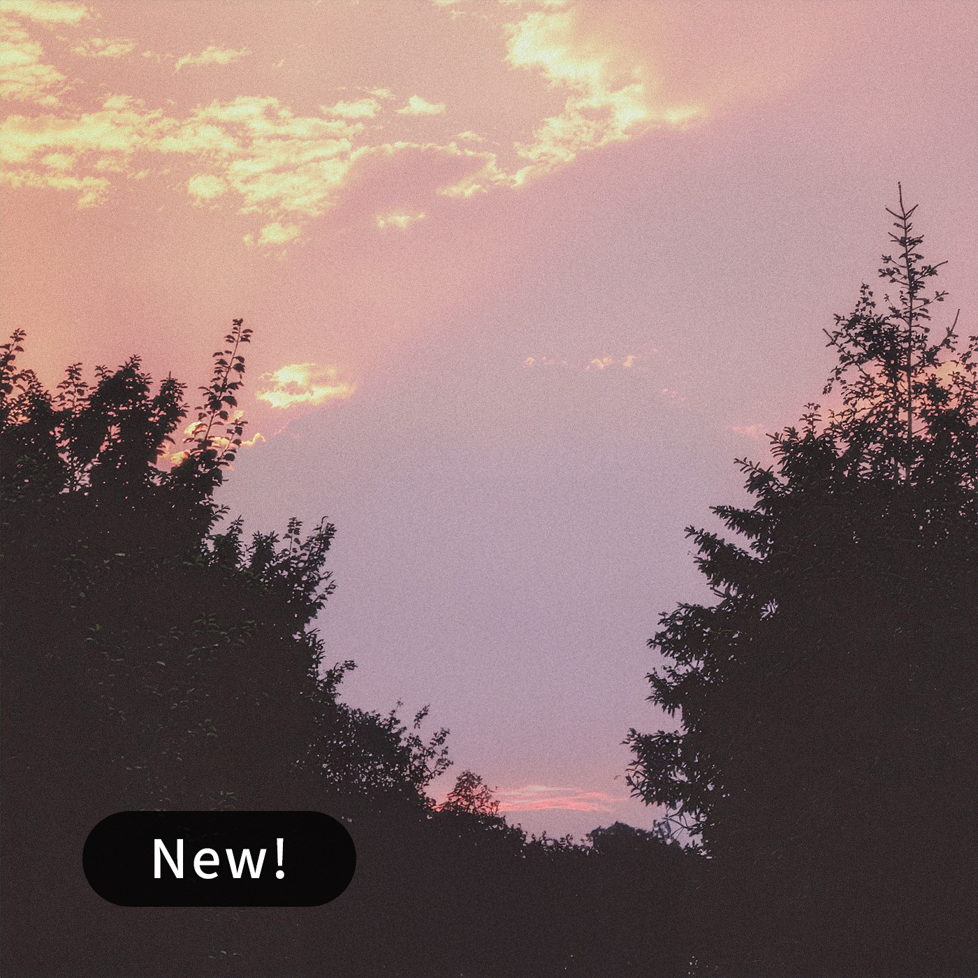 Looking Back - Sheet Music - Reinur Selson