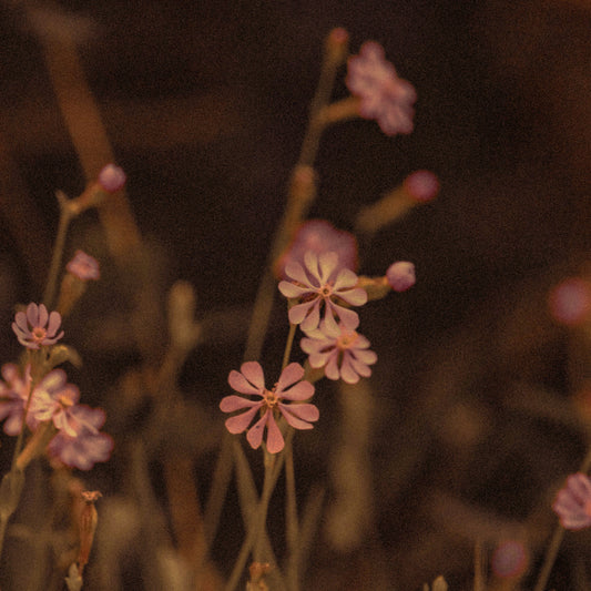 Simple Life - Sheet Music - Reinur Selson